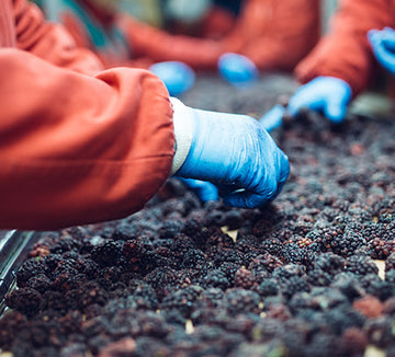 Why Natural Sun-Drying Preserves More Nutrients