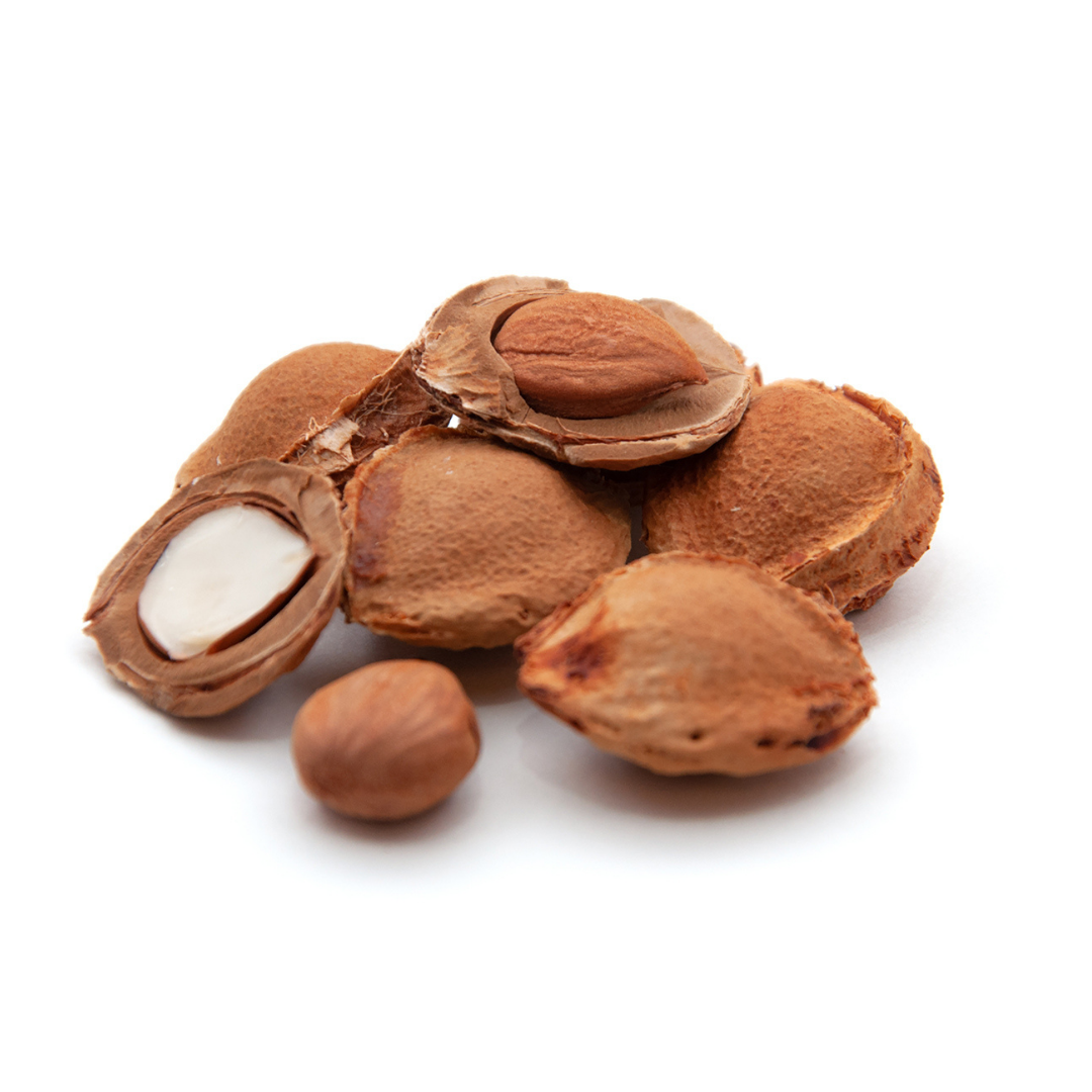 Apricot Kernels