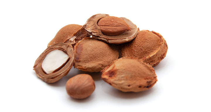 Apricot Kernels