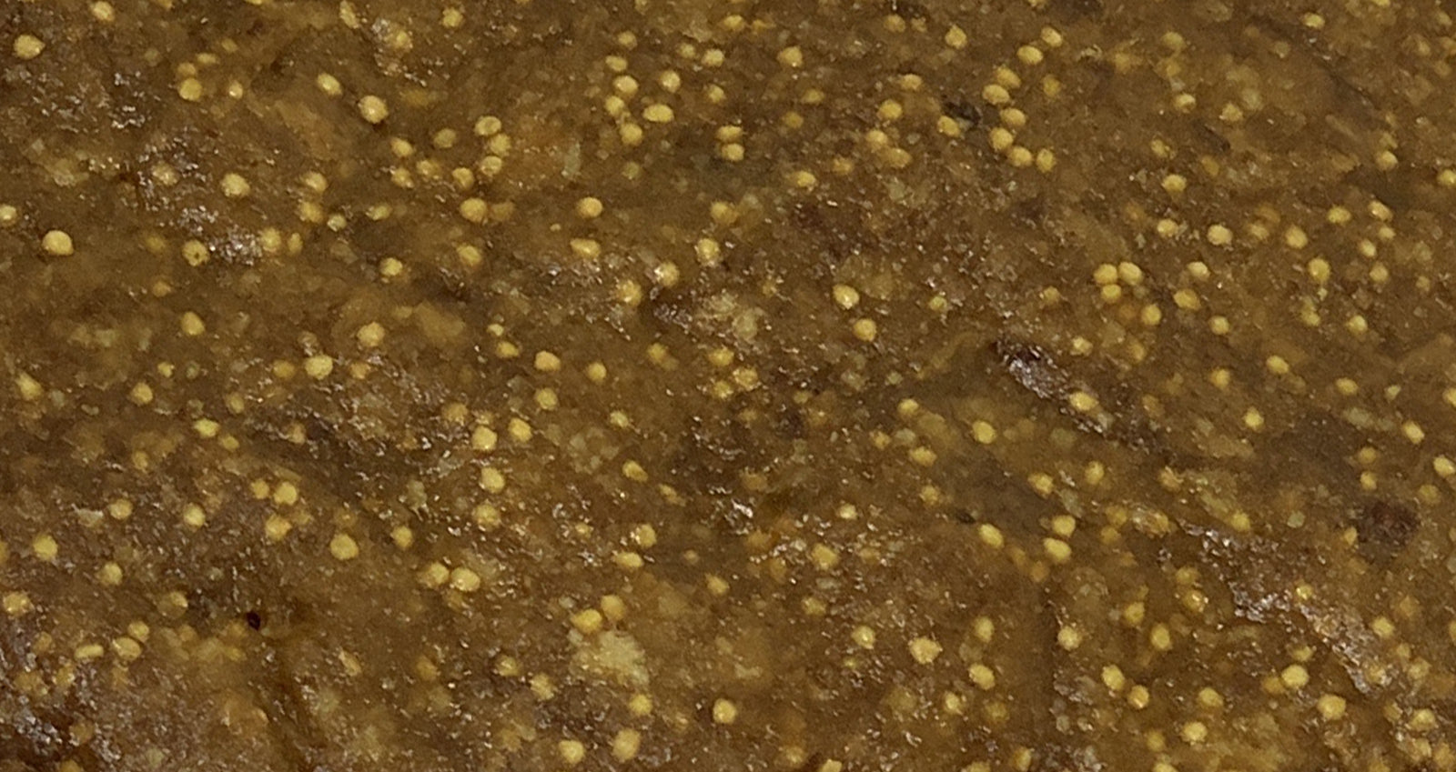 Fig Paste